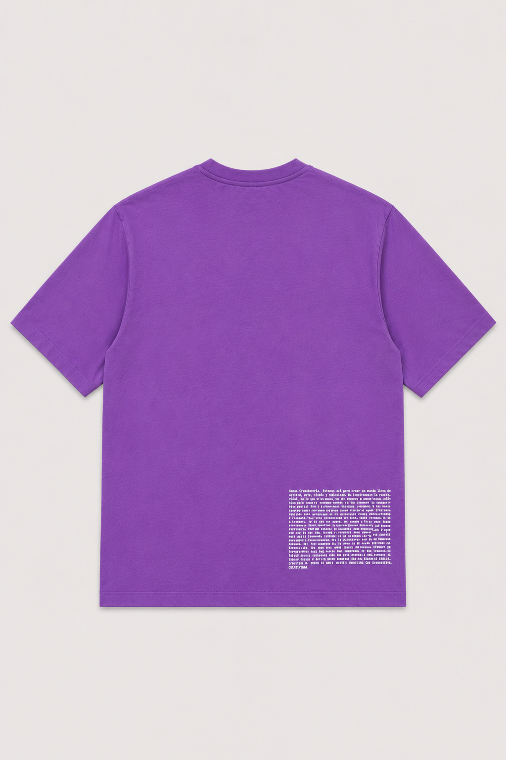 CAMISETA LISA